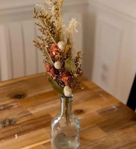 Le Remois Proche Du Centre-ville Reims